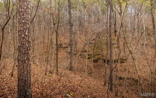 $183,170 | 56-ac Slaughter Road, Licking, MO 65542