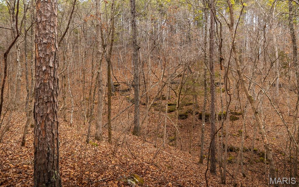 56-ac Slaughter Road Licking, MO 65542 - Photo 38 of 44