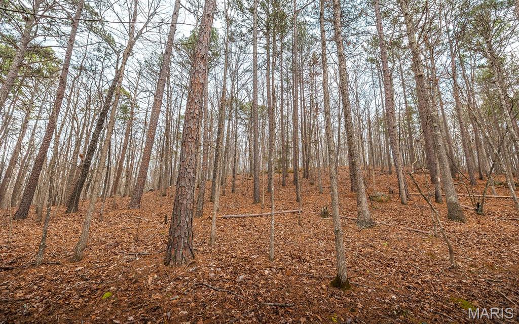 56-ac Slaughter Road Licking, MO 65542 - Photo 39 of 44