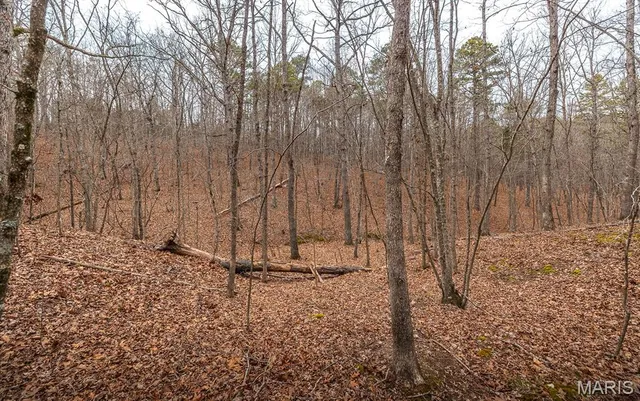 $183,170 | 56-ac Slaughter Road, Licking, MO 65542