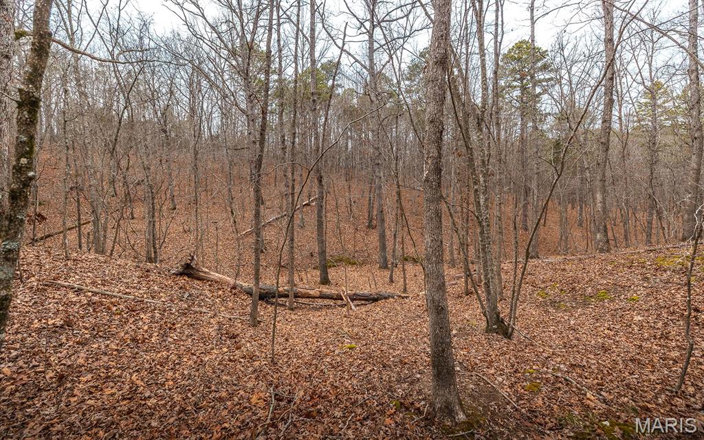 56-ac Slaughter Road Licking, MO 65542 - Photo 40 of 44