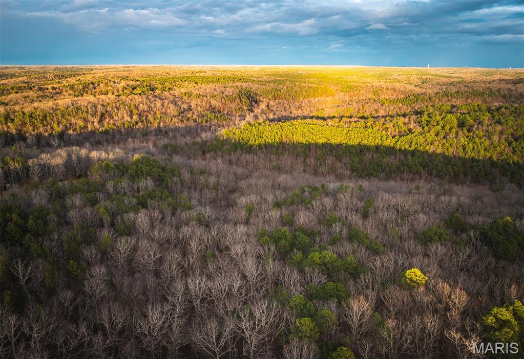 56-ac Slaughter Road Licking, MO 65542 - Photo 4 of 44