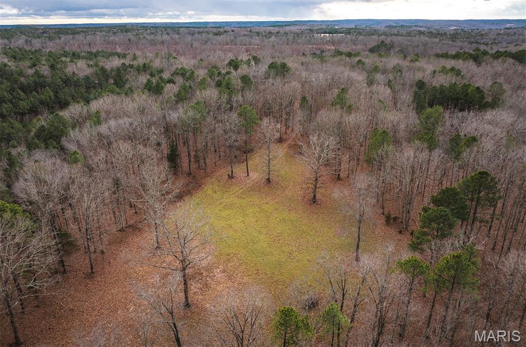 56-ac Slaughter Road Licking, MO 65542 - Photo 6 of 44