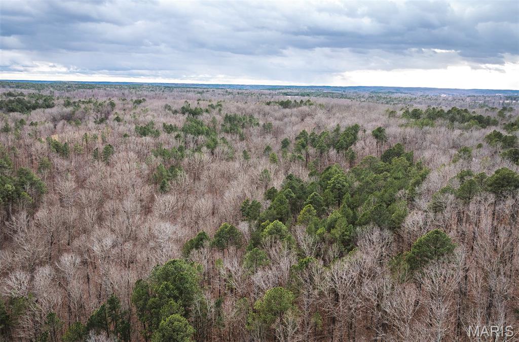 56-ac Slaughter Road Licking, MO 65542 - Photo 7 of 44