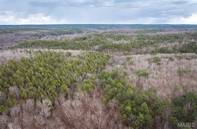 $183,170 | 56-ac Slaughter Road, Licking, MO 65542