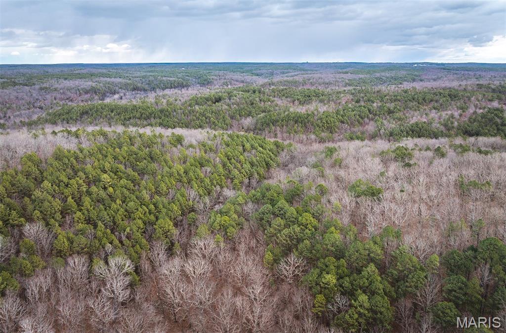 56-ac Slaughter Road Licking, MO 65542 - Photo 8 of 44