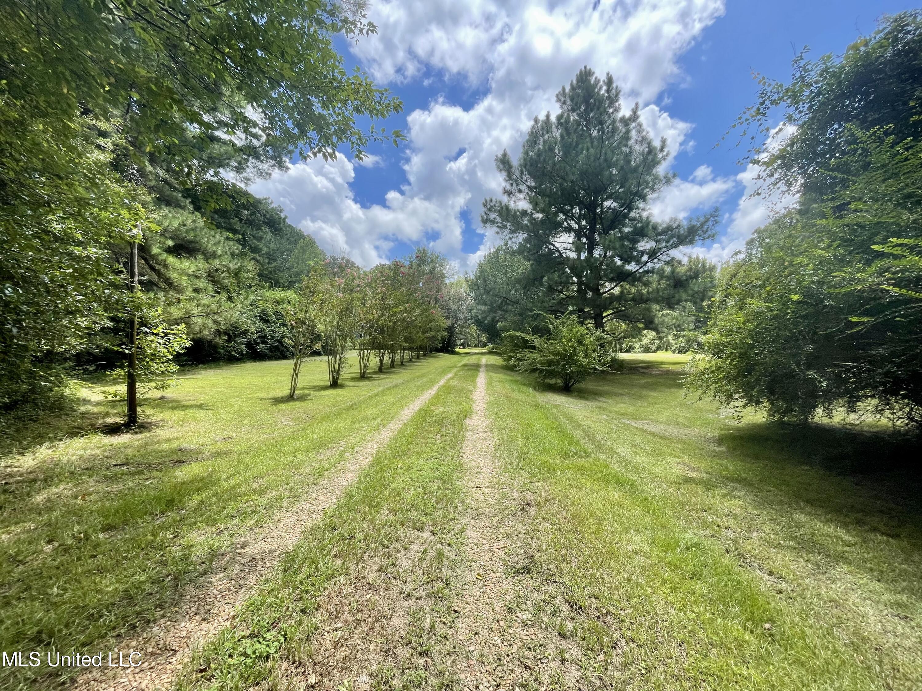 143 Jim Harris Road Harrisville, MS 39082 - Photo 31 of 51 9ABCC65F-FA64-4B91-92AF-8444C0006AF5