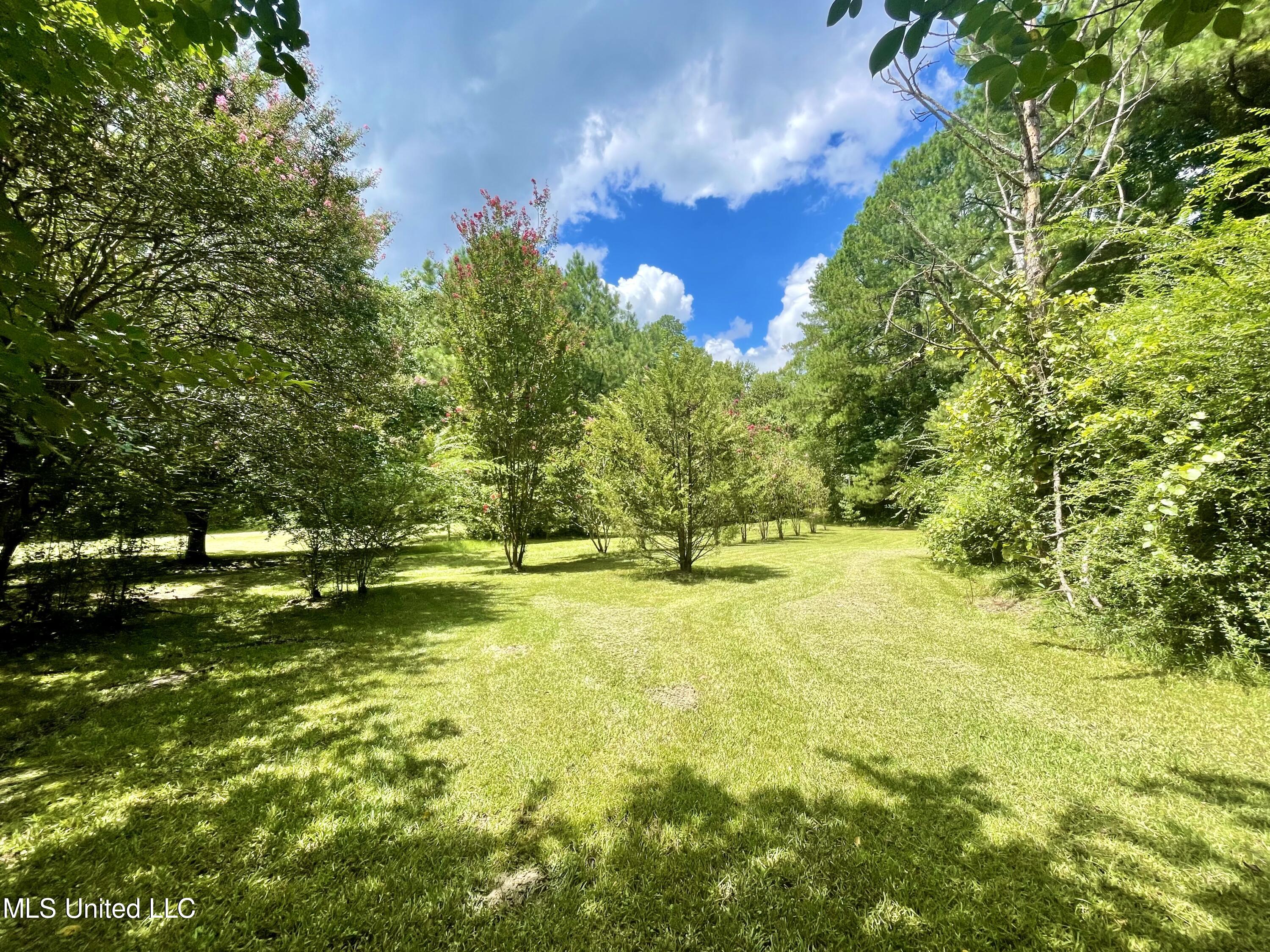 143 Jim Harris Road Harrisville, MS 39082 - Photo 42 of 51 A19007F1-9387-4F08-8DAA-85BDB61809BF
