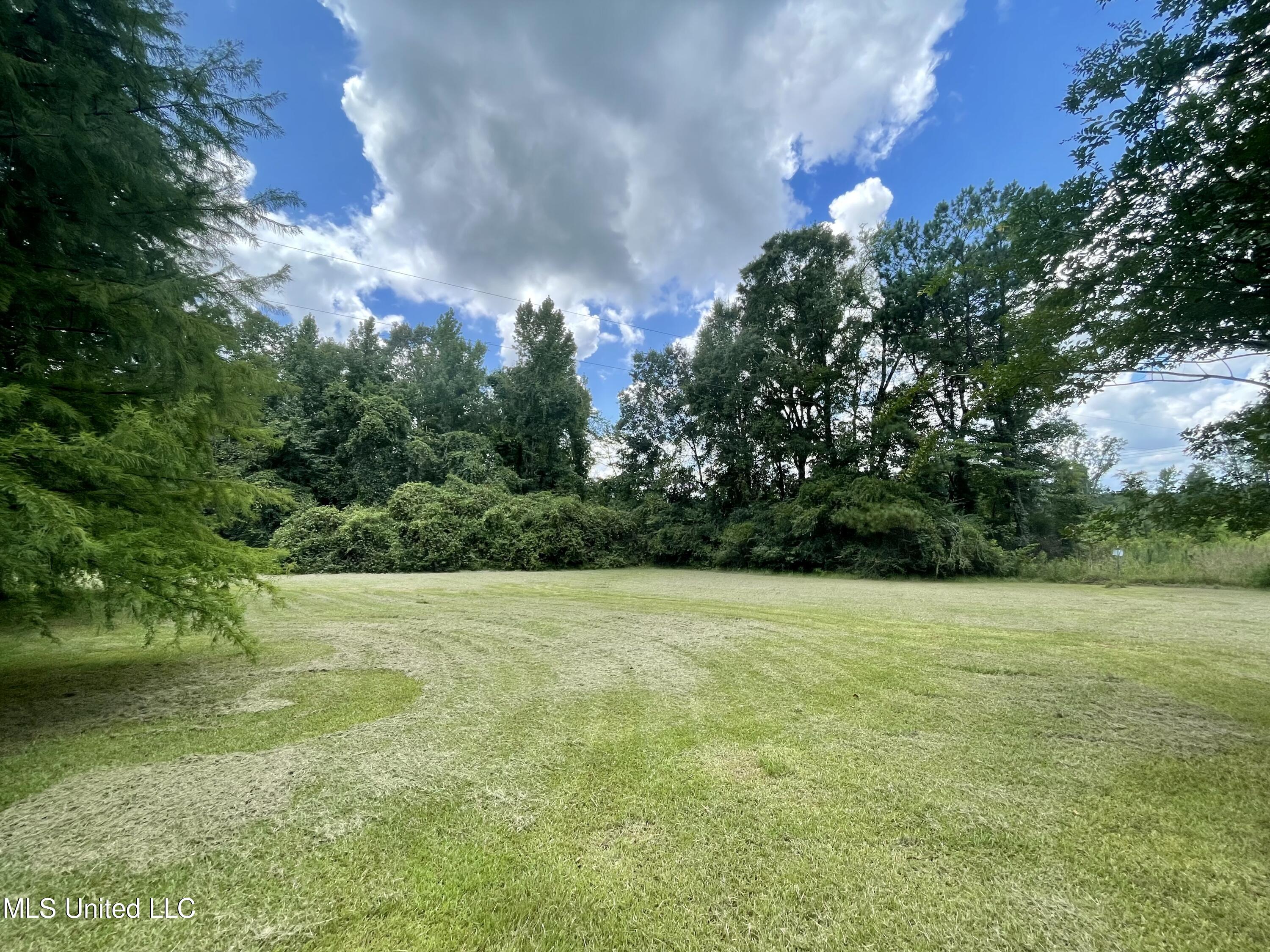 143 Jim Harris Road Harrisville, MS 39082 - Photo 43 of 51 38157552-AD14-4FD9-97E1-81A18E3462C4