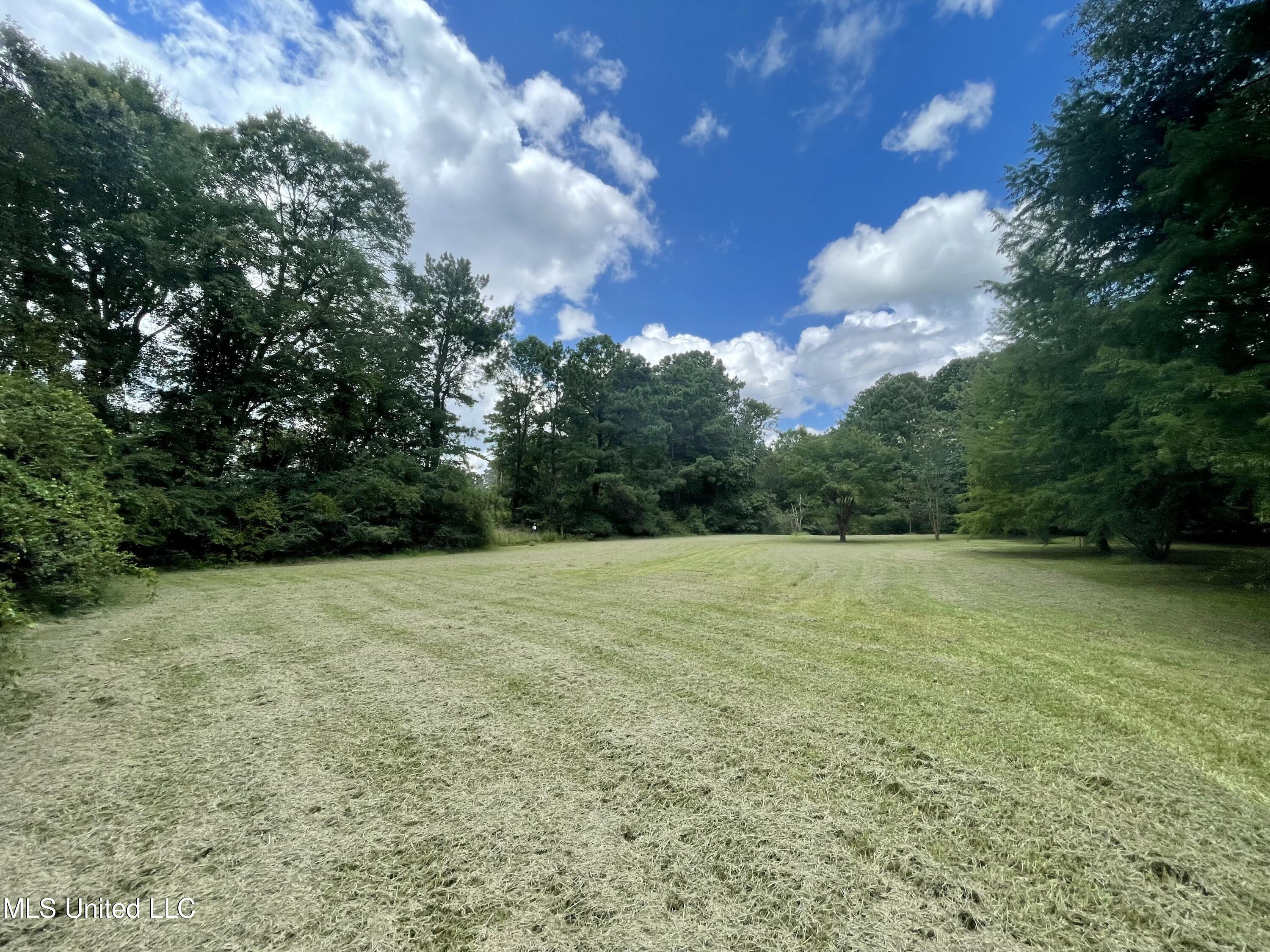 143 Jim Harris Road Harrisville, MS 39082 - Photo 44 of 51 8BD9E059-F58F-47A0-8412-8489D4F2DEBB