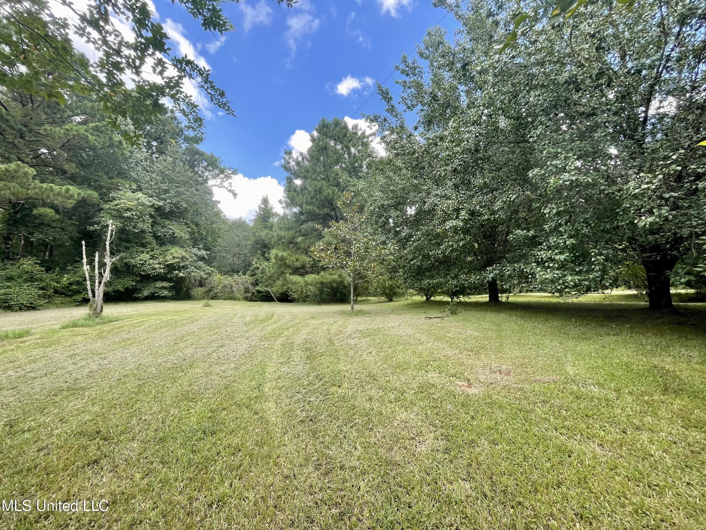 143 Jim Harris Road Harrisville, MS 39082 - Photo 45 of 51 0A92DC20-A55B-4D05-8945-3EC8965E947F