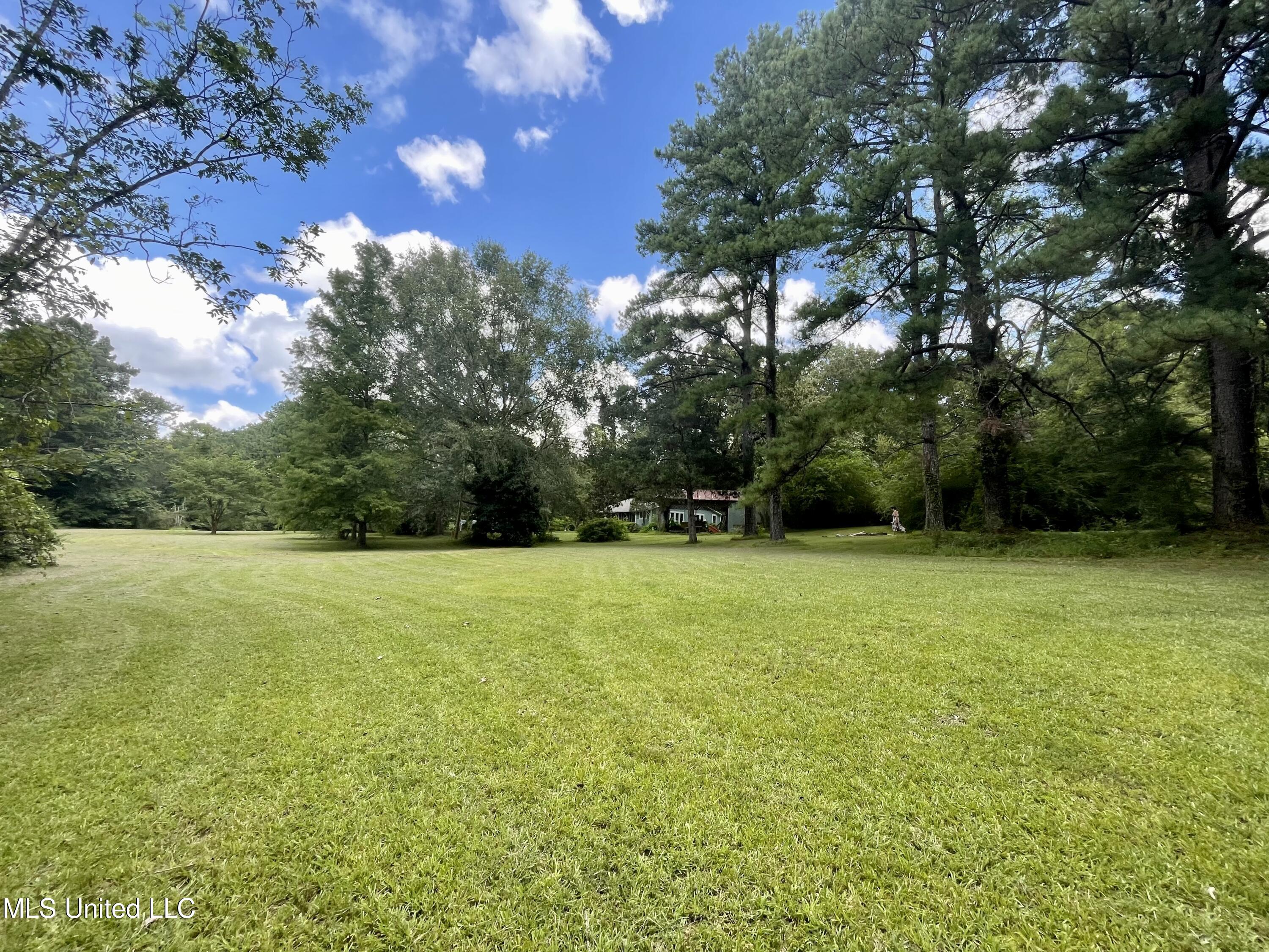 143 Jim Harris Road Harrisville, MS 39082 - Photo 47 of 51 0F5B6641-6BA3-4D2A-965B-64369C03AA92