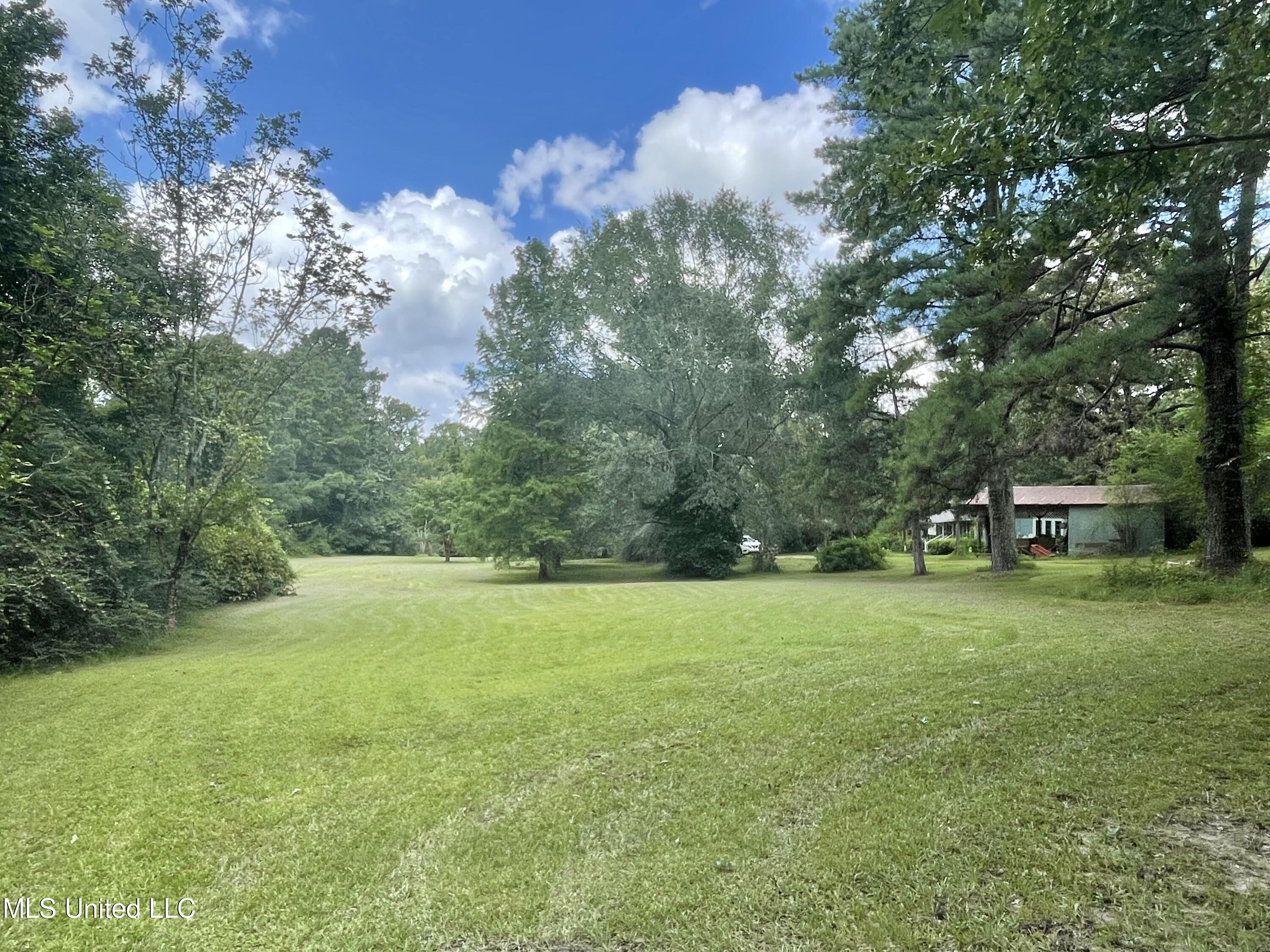 143 Jim Harris Road Harrisville, MS 39082 - Photo 48 of 51 BFCAEE29-81E8-4551-BE09-11438C3D708C