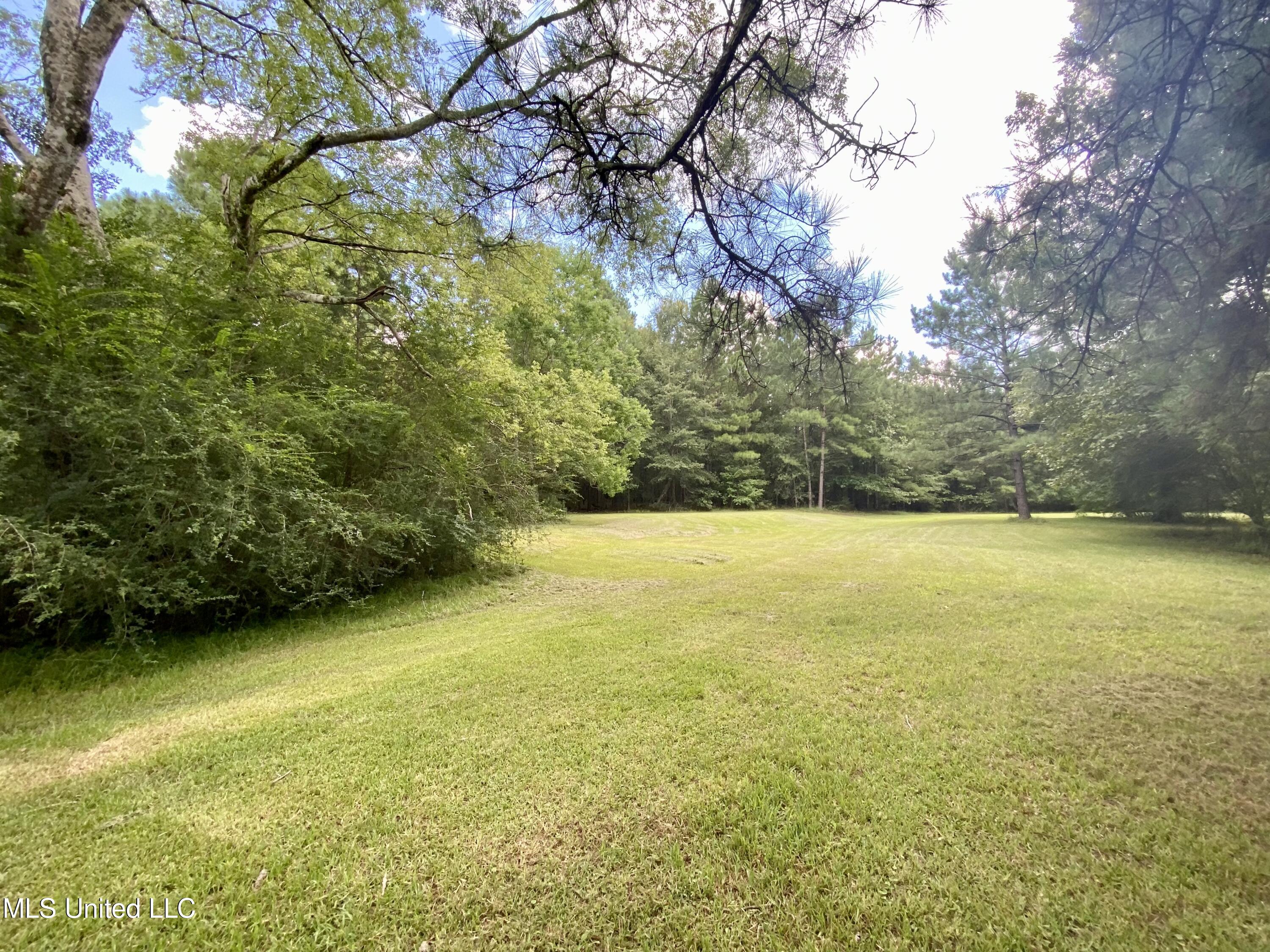 143 Jim Harris Road Harrisville, MS 39082 - Photo 50 of 51 C412BDF6-97DD-4FEC-9A0B-6566B2F9A6E9
