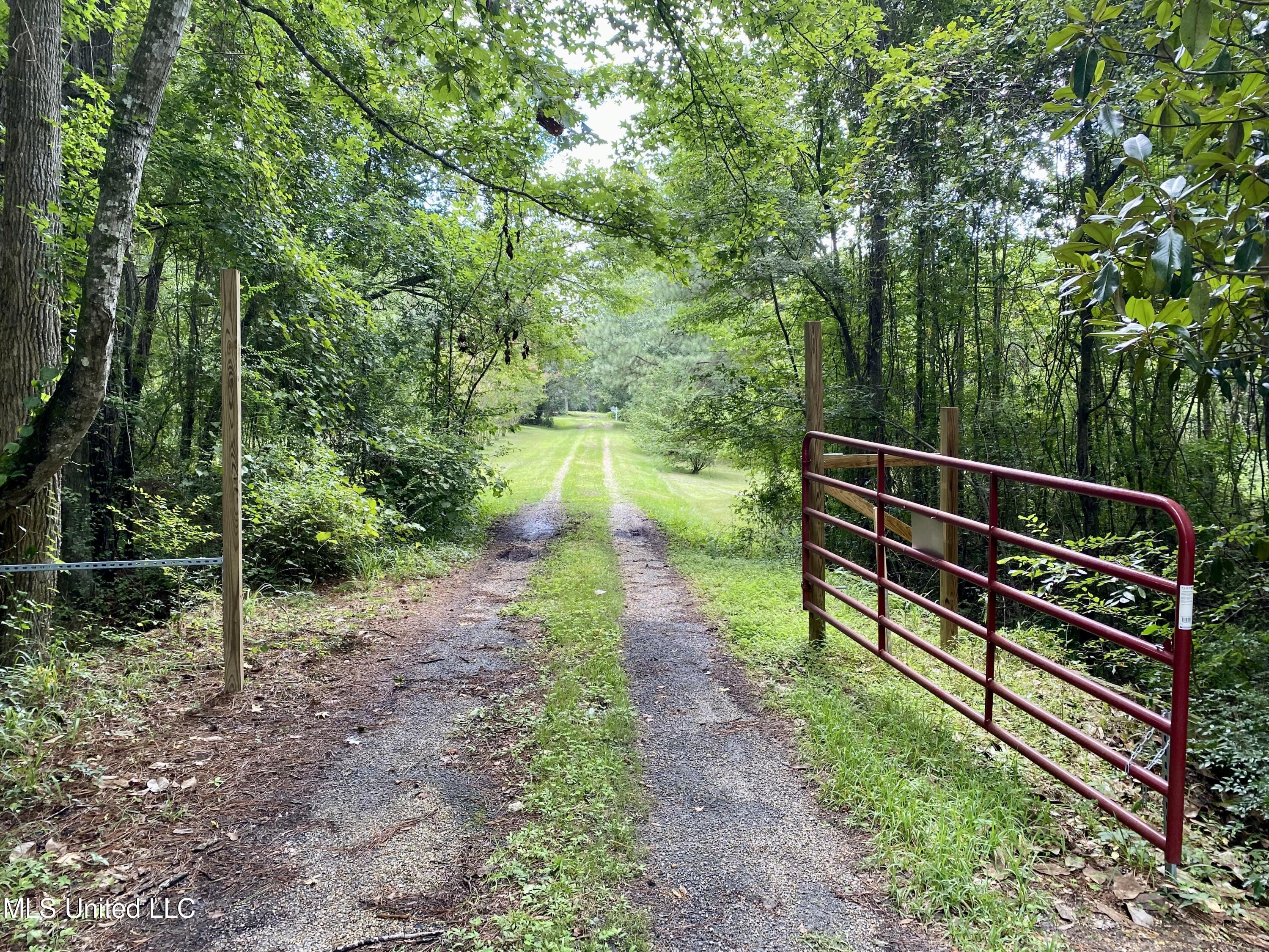 143 Jim Harris Road Harrisville, MS 39082 - Photo 51 of 51 495A3EBA-6668-4397-A1F9-68B47C875801