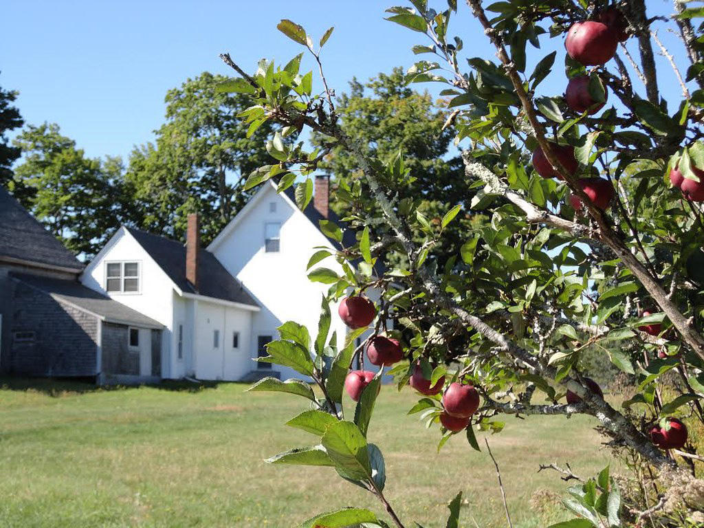 94 Cushing Road Warren, ME 04864 - Photo 2 of 18 apple tree