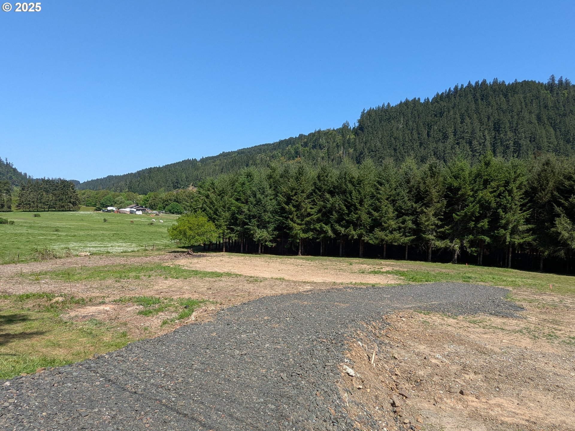 2975 Bullock Road Oakland, OR 97462 - Photo 3 of 10