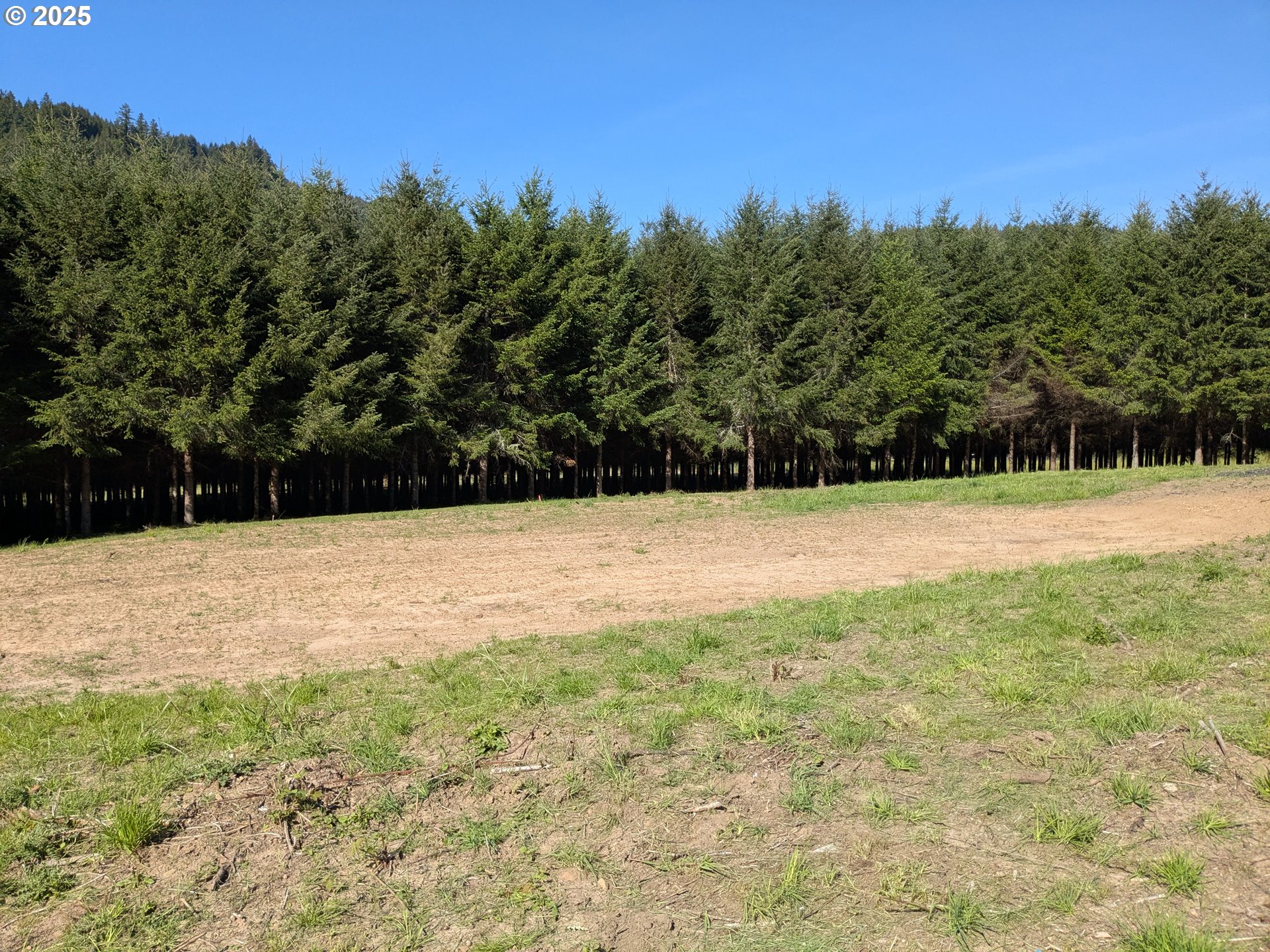 2975 Bullock Road Oakland, OR 97462 - Photo 6 of 10