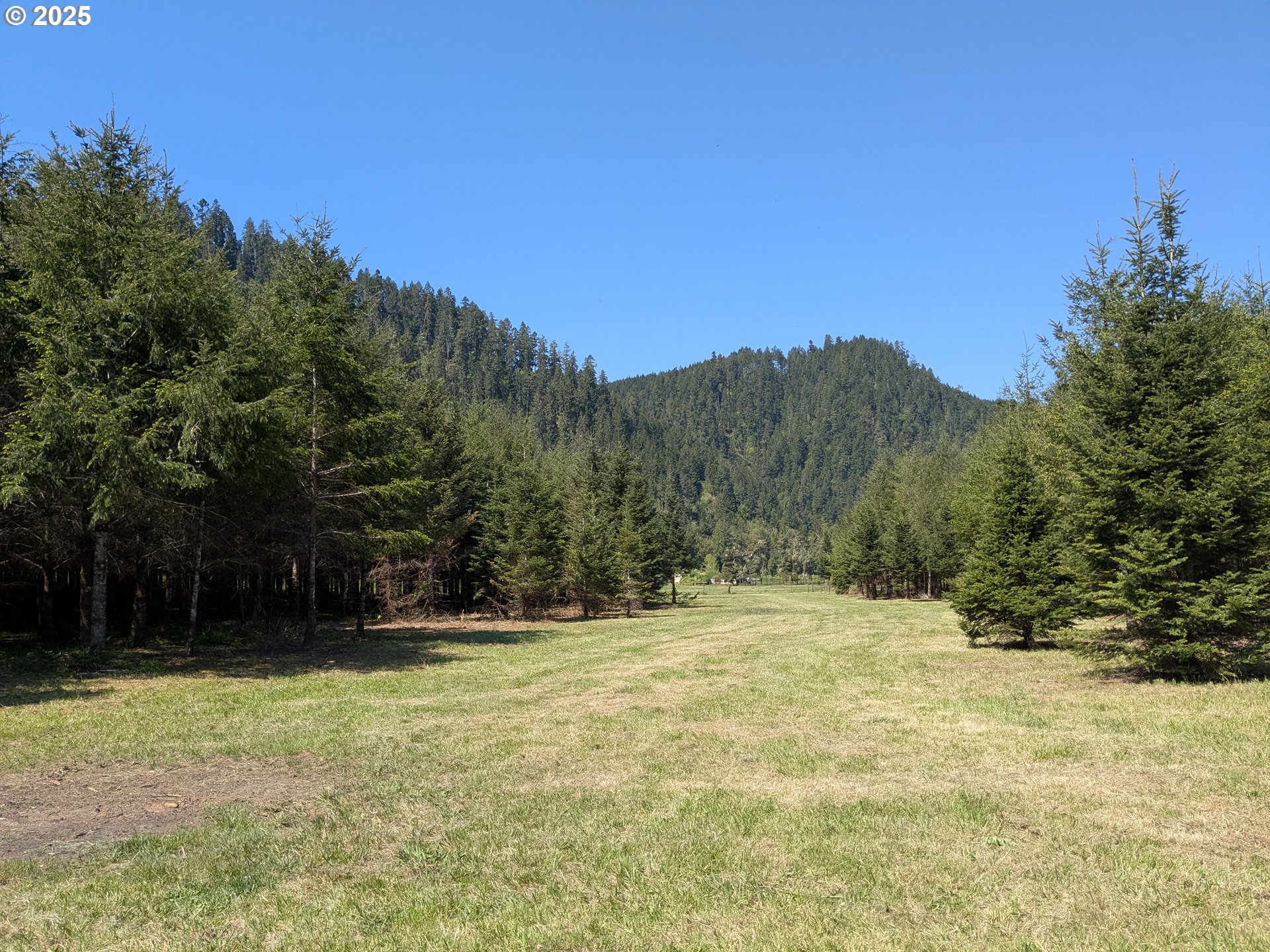 2975 Bullock Road Oakland, OR 97462 - Photo 7 of 10