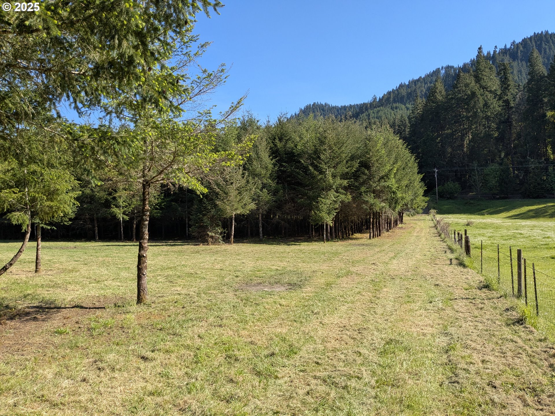 2975 Bullock Road Oakland, OR 97462 - Photo 8 of 10