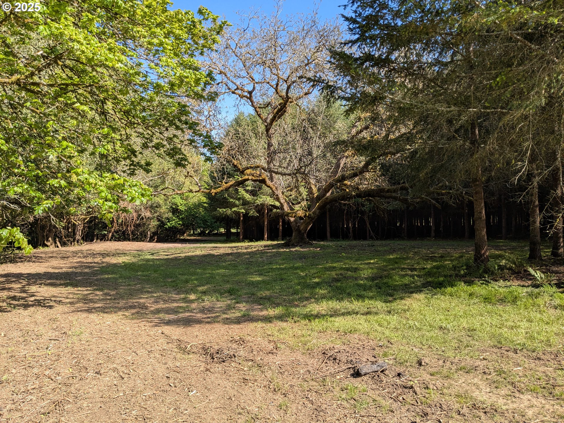 2975 Bullock Road Oakland, OR 97462 - Photo 9 of 10