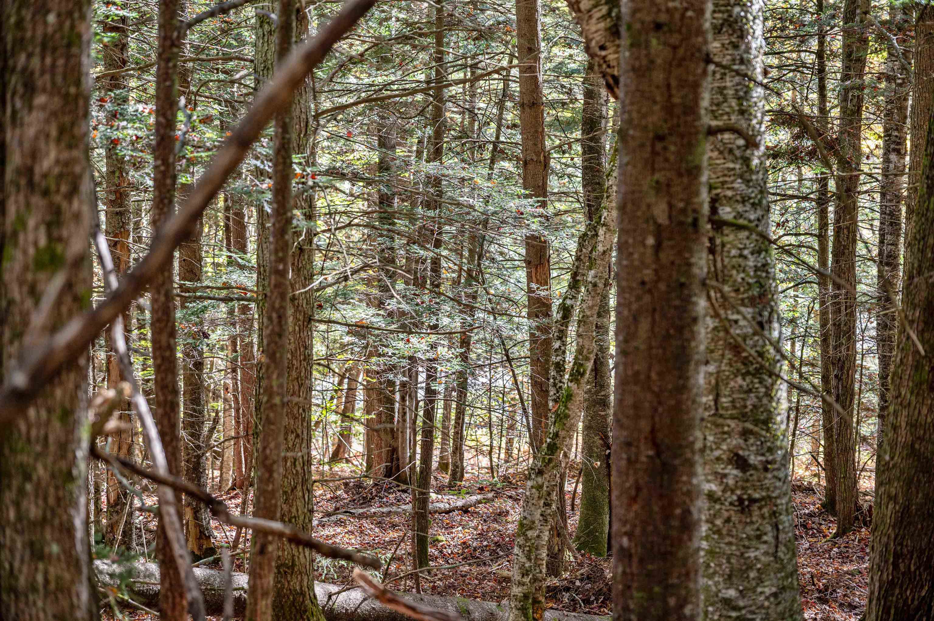442 Vt Rte 12, Unit 2 Barre, VT 05641 - Photo 9 of 21