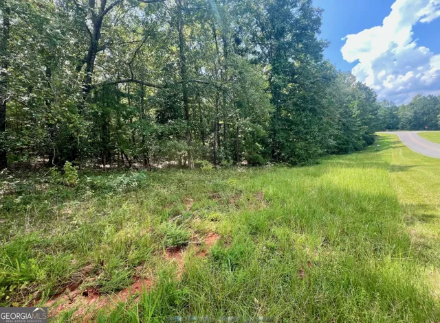 a view of outdoor space and yard