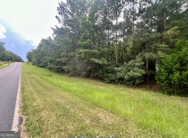 a view of a yard with an outdoor space
