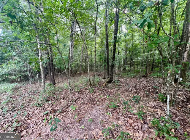 a view of outdoor space and green space