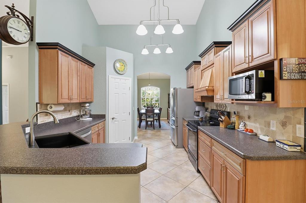 7150 Southeast 117th Terrace Morriston, FL 32668 - Photo 11 of 46