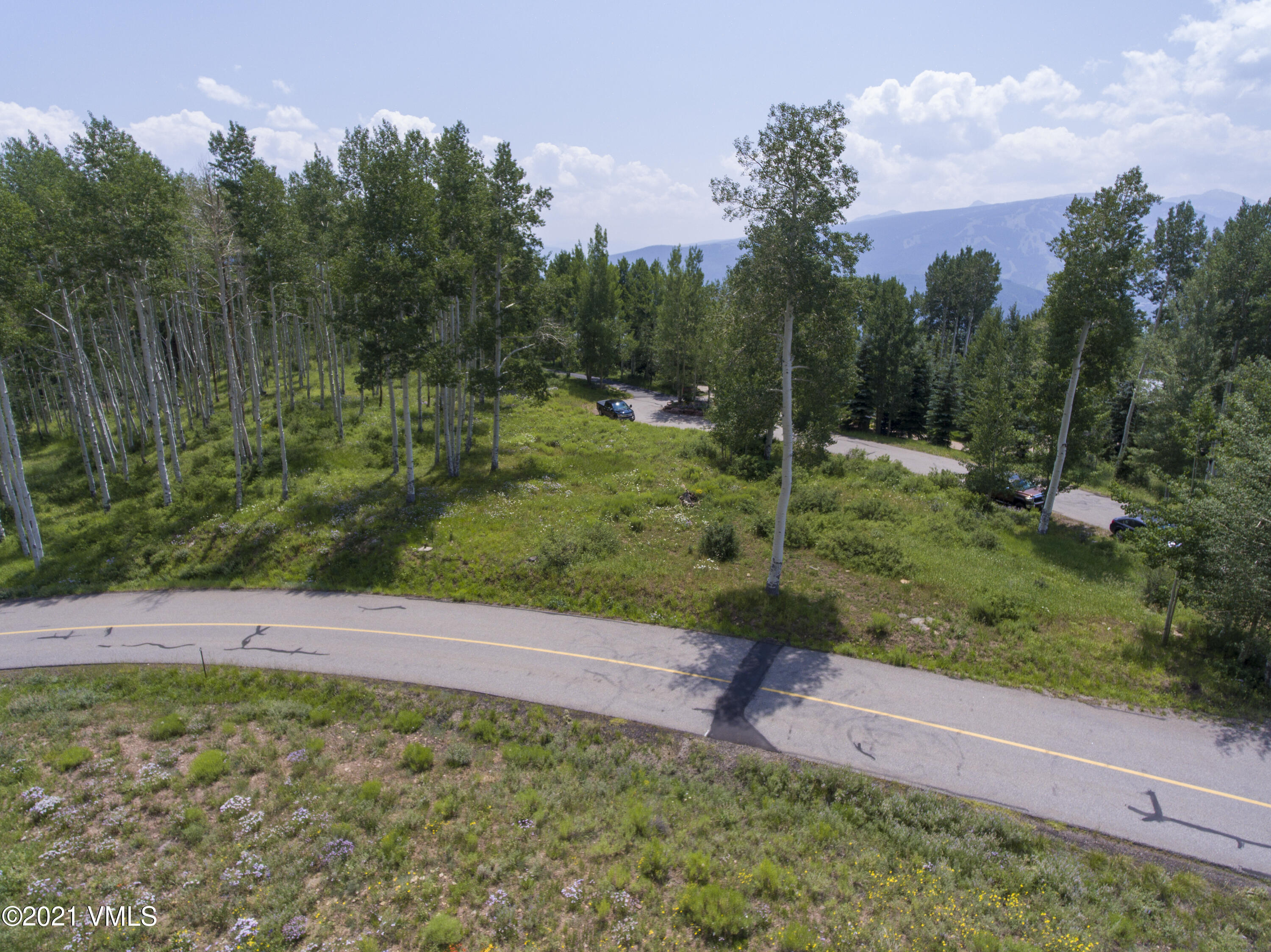 294 Shooting Star Avon, CO 81620 - Photo 17 of 23 a view of a yard with large trees