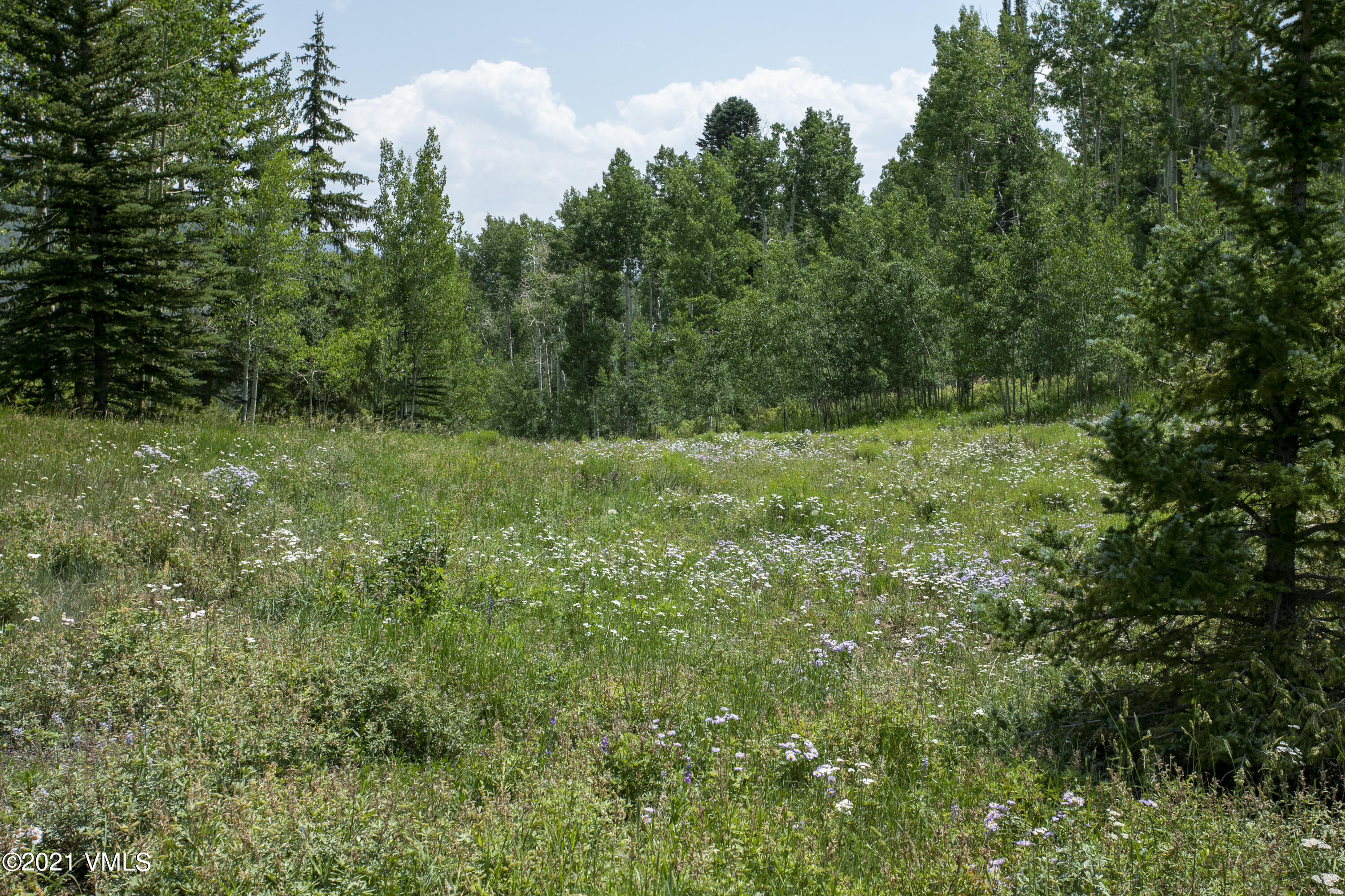 294 Shooting Star Avon, CO 81620 - Photo 19 of 23 a view of a lush green space