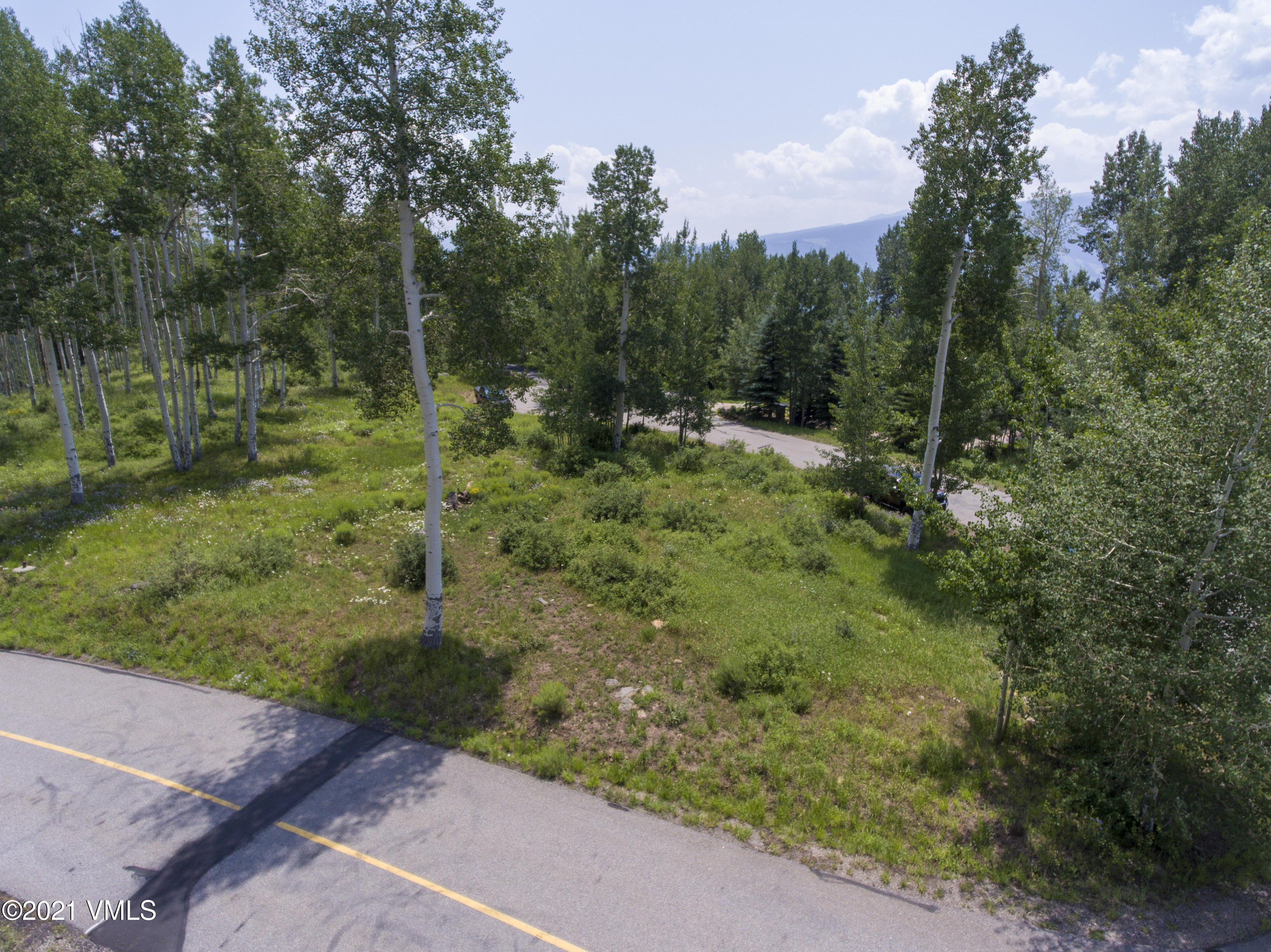 294 Shooting Star Avon, CO 81620 - Photo 20 of 23 a view of a forest with trees in the background