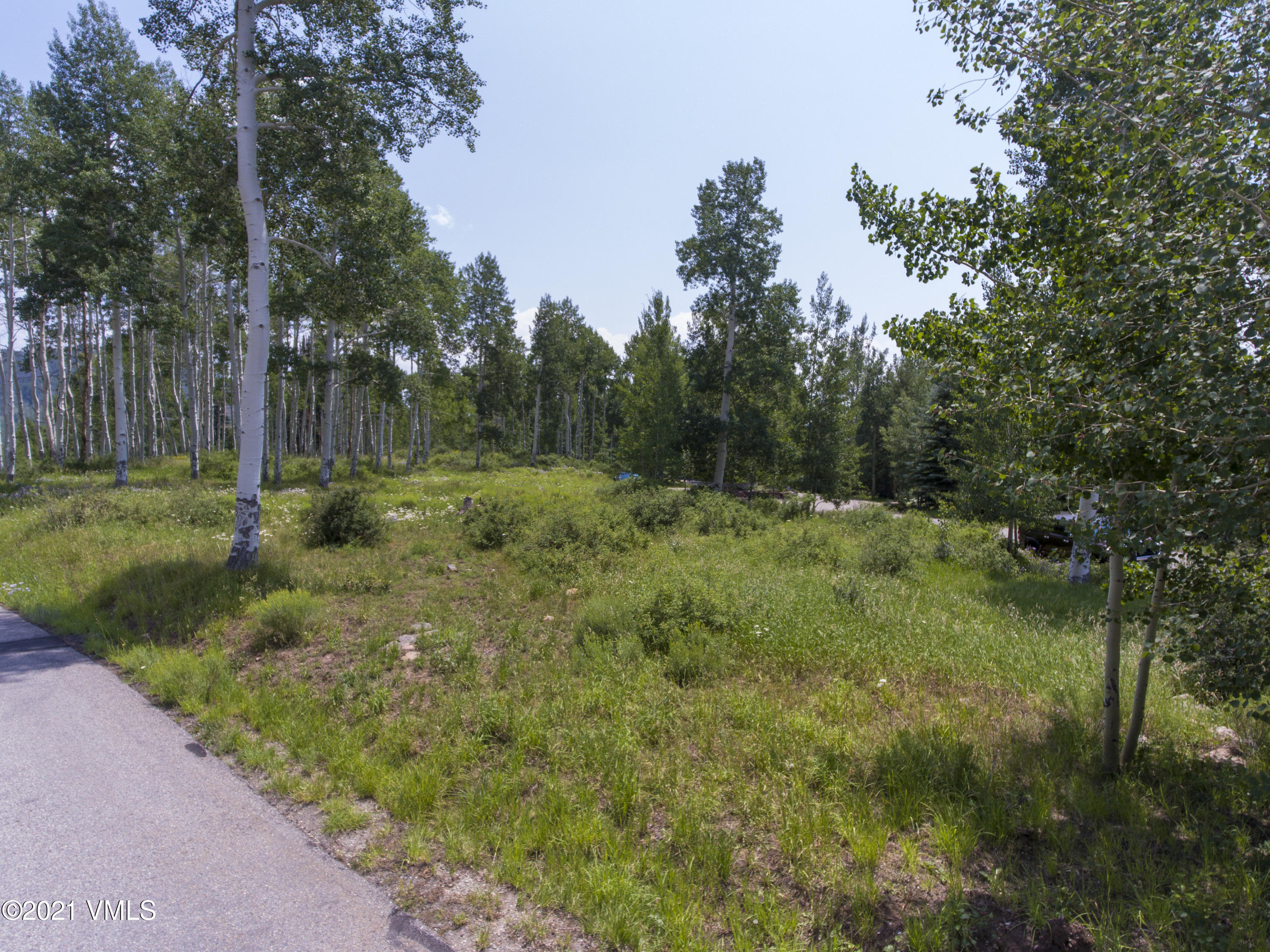 294 Shooting Star Avon, CO 81620 - Photo 21 of 23 a view of outdoor space and yard