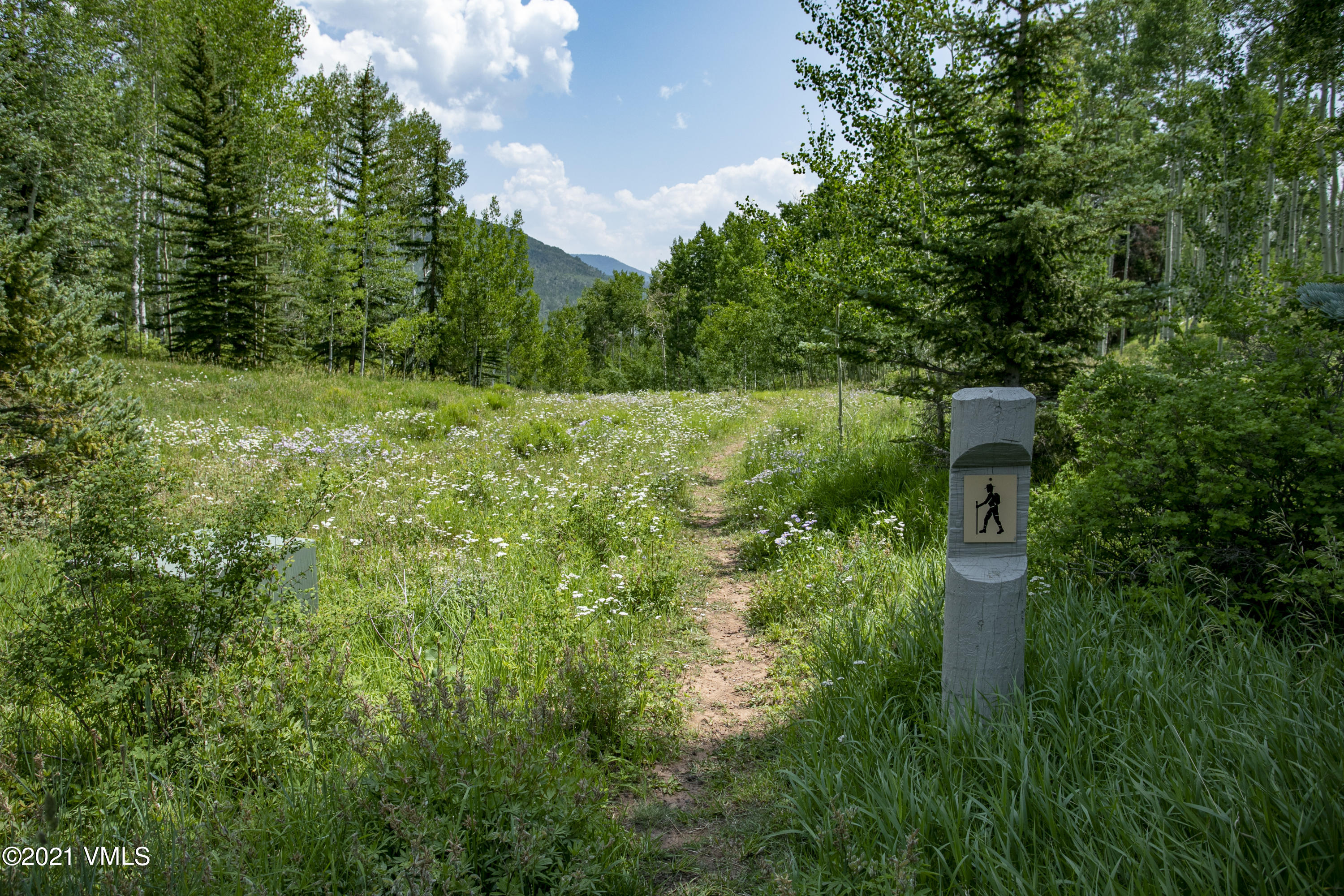 294 Shooting Star Avon, CO 81620 - Photo 22 of 23 a view of a garden