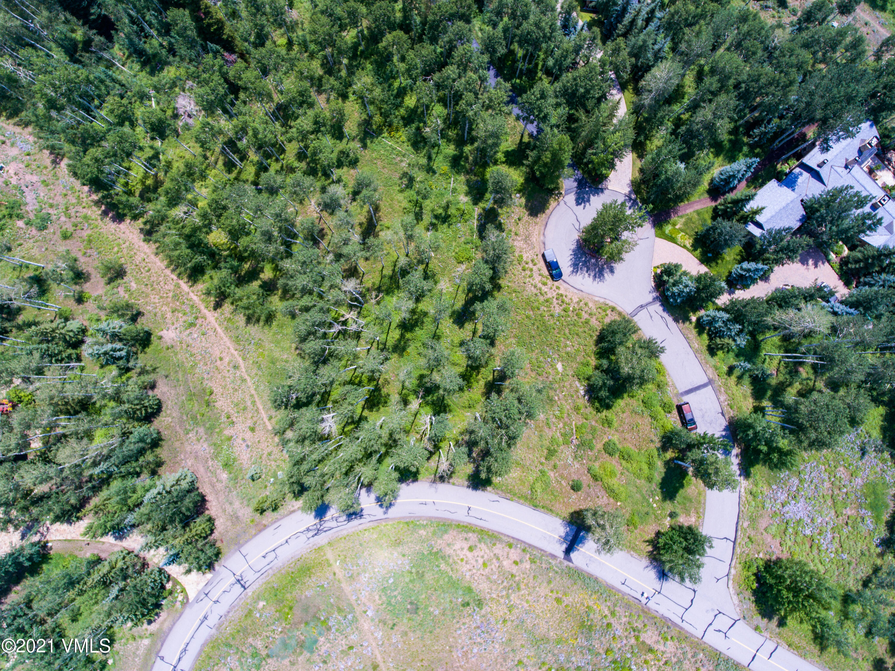 294 Shooting Star Avon, CO 81620 - Photo 7 of 23 a view of a garden with plants