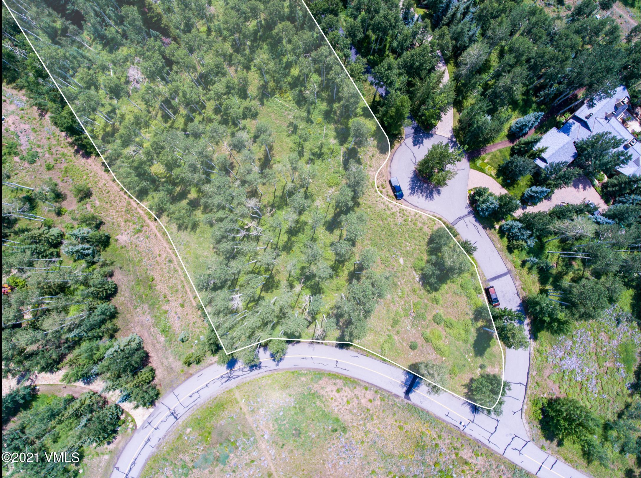 294 Shooting Star Avon, CO 81620 - Photo 8 of 23 a view of a garden with a tree