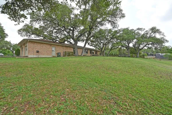 a view of a tree in a field