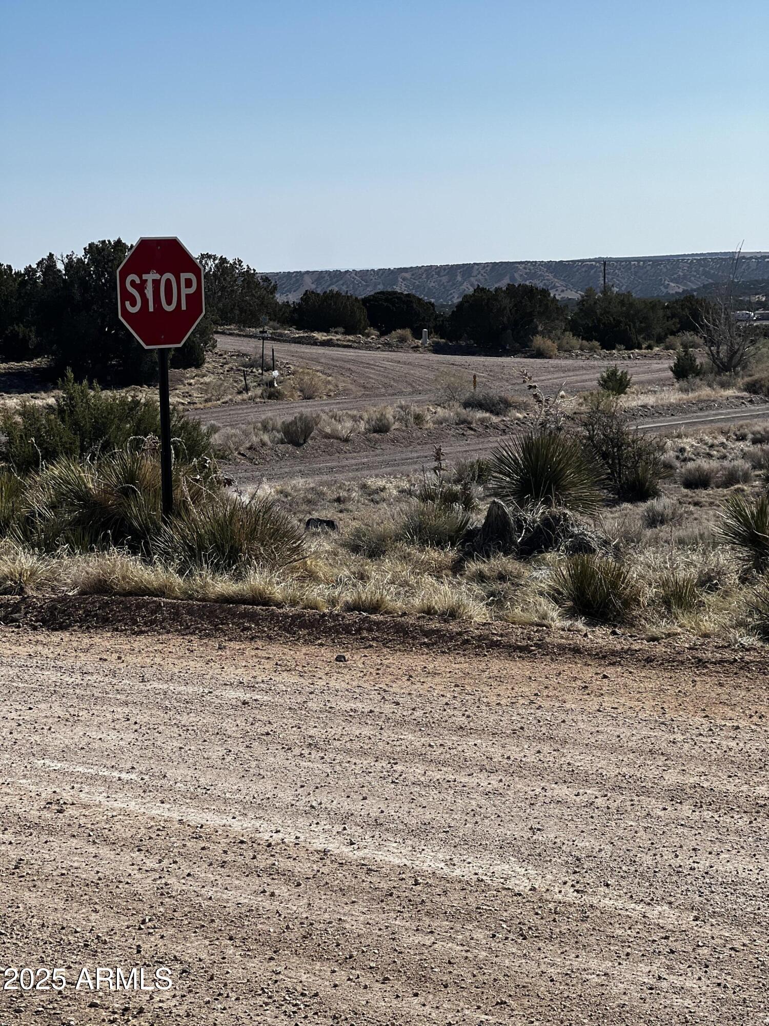 58 Short Lane, Unit 2 Concho, AZ 85924 - Photo 6 of 6 a view of a sign of a park