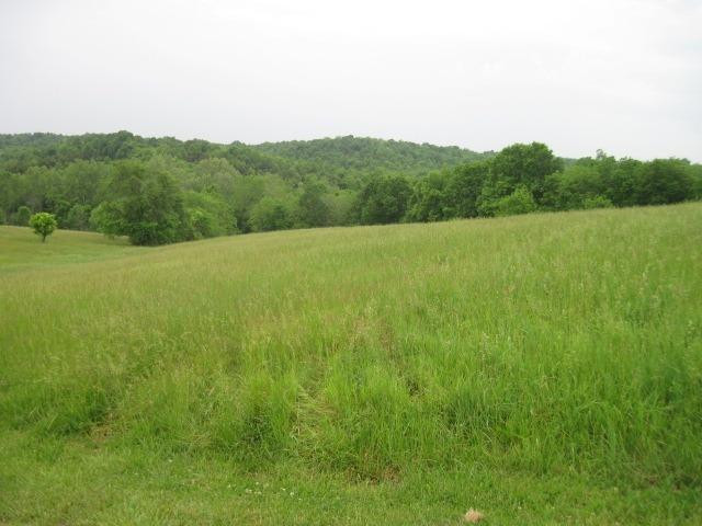 0 Stringtown Weber Corinth, KY 41010 - Photo 4 of 16 Gallery Image 4