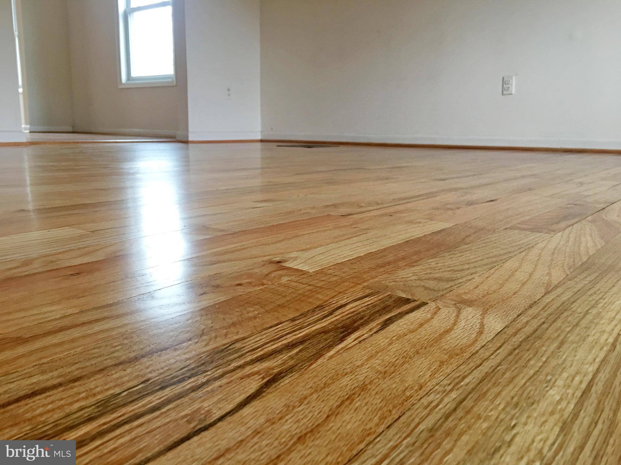 1112 Bloom Road Westminster, MD 21157 - Photo 14 of 47 Floors Just Refinished!