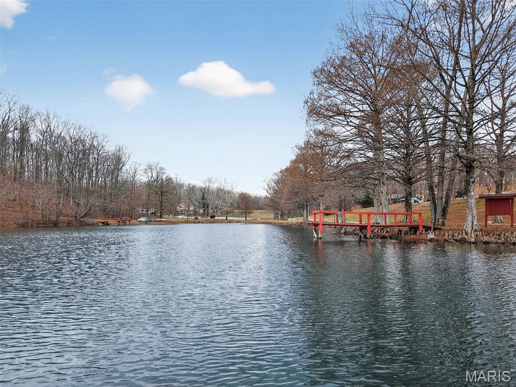 301 Little Dogwood Lake Road Burfordville, MO 63739 - Photo 22 of 29