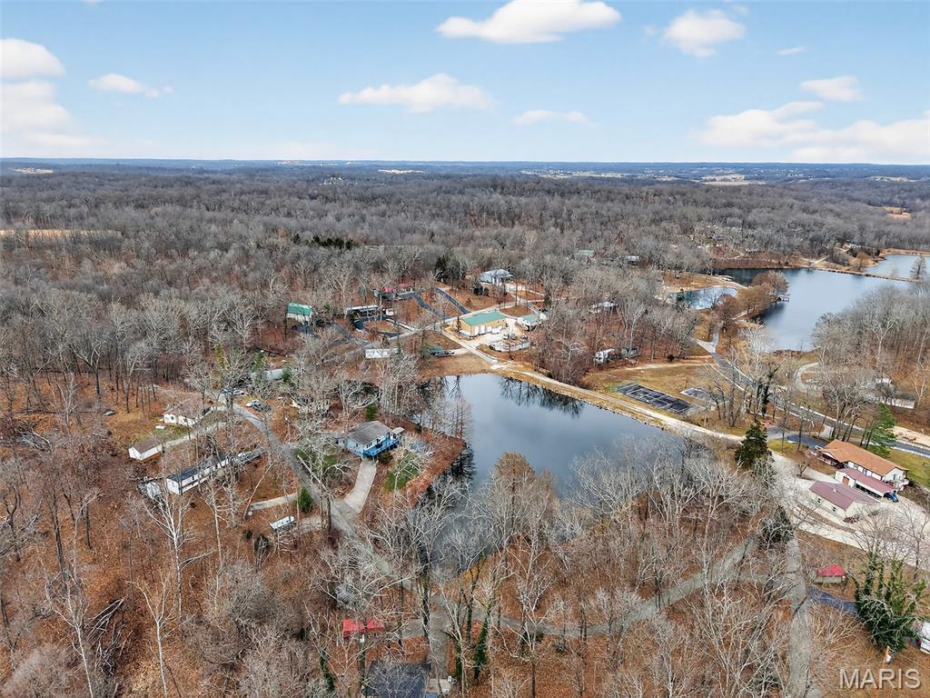 301 Little Dogwood Lake Road Burfordville, MO 63739 - Photo 27 of 29