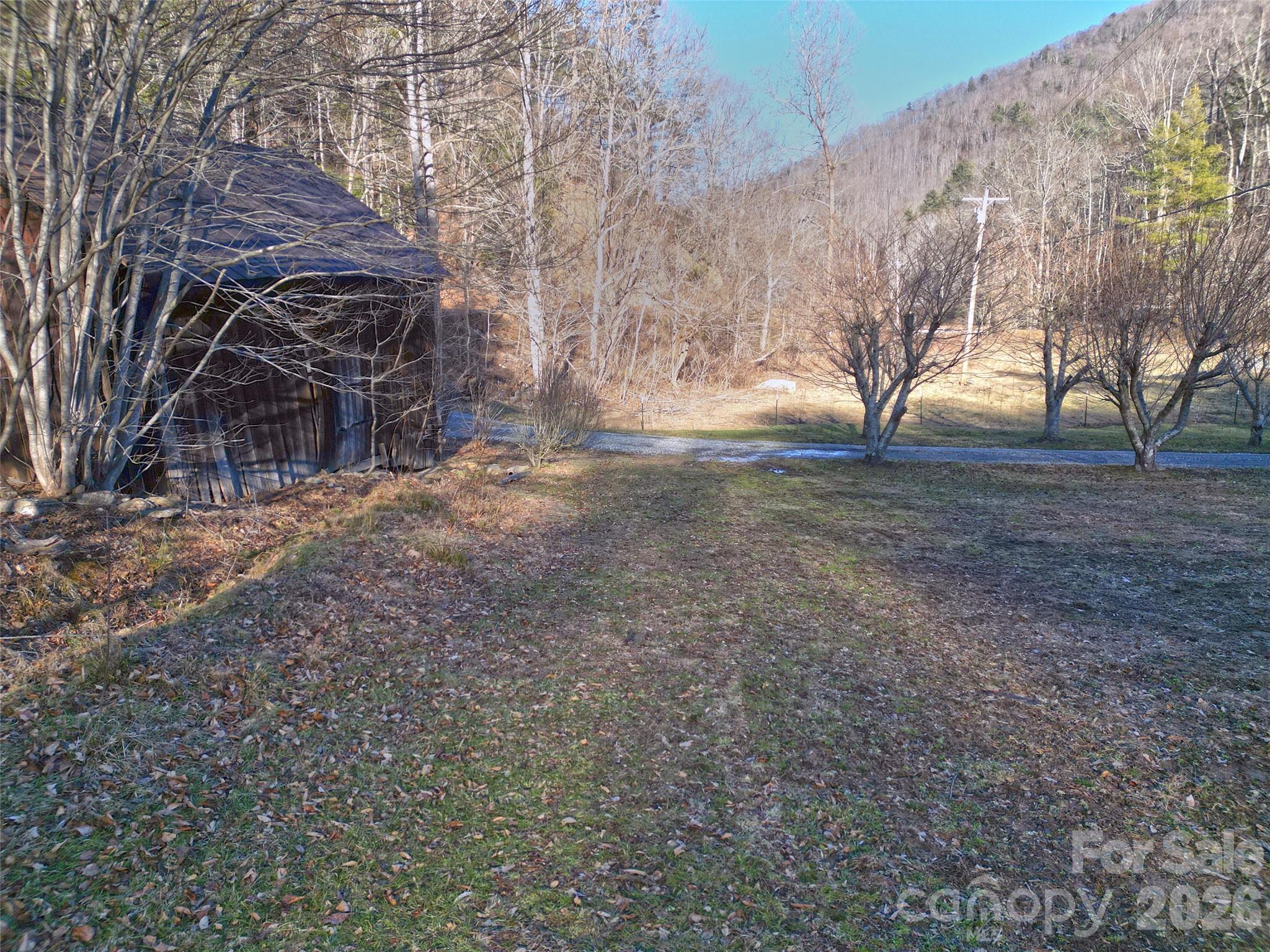 7385 Big Pine Road Marshall, NC 28753 - Photo 11 of 38 a view of dirt yard with a tree