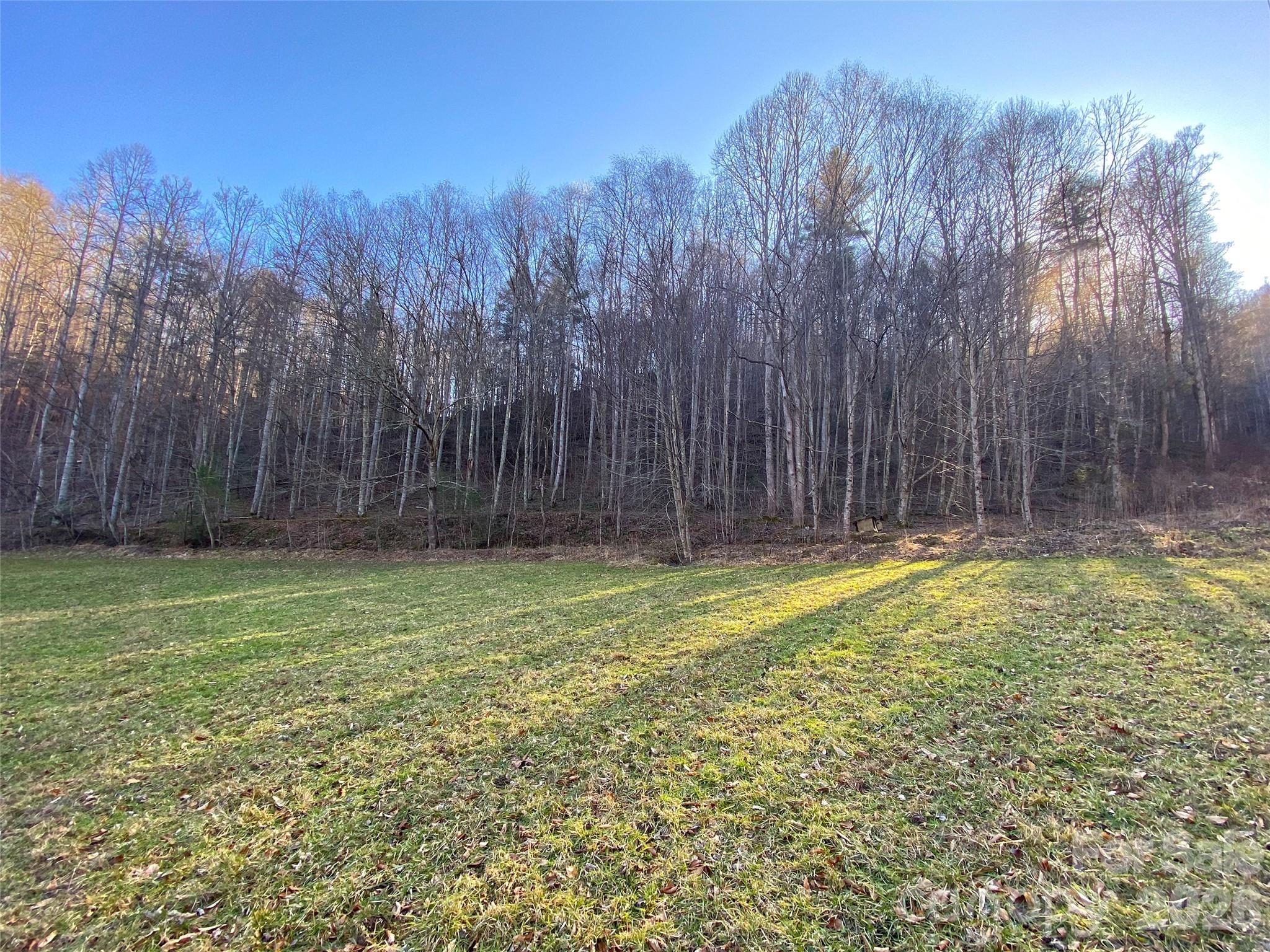 7385 Big Pine Road Marshall, NC 28753 - Photo 12 of 38