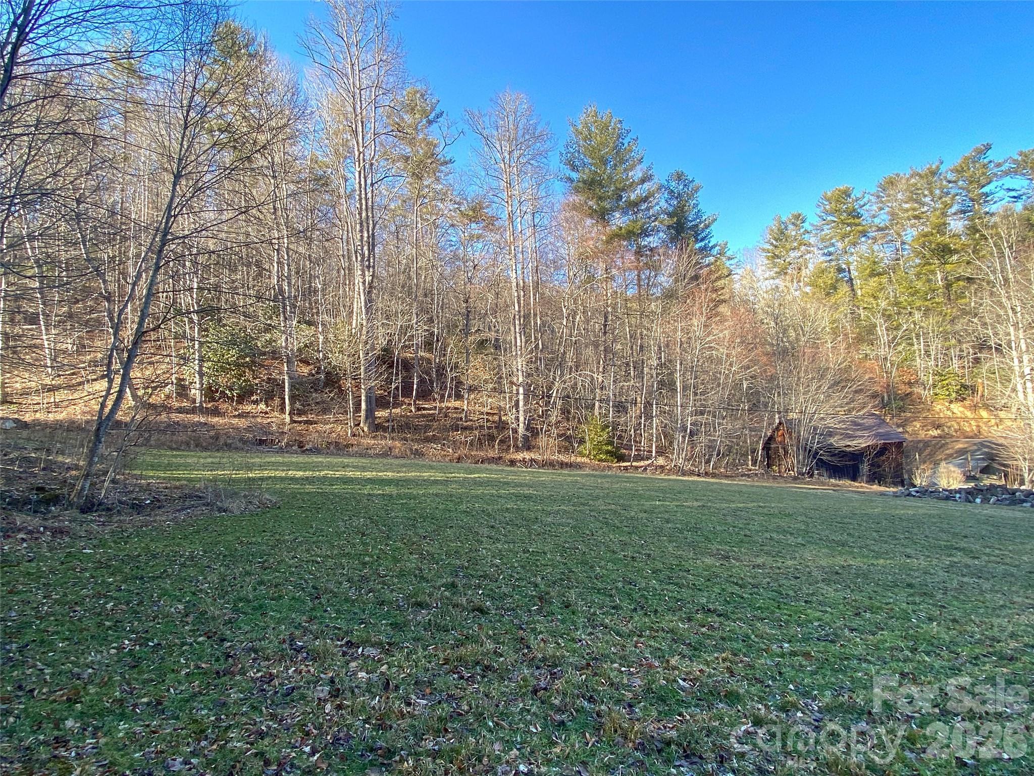 7385 Big Pine Road Marshall, NC 28753 - Photo 13 of 38 a view of a park