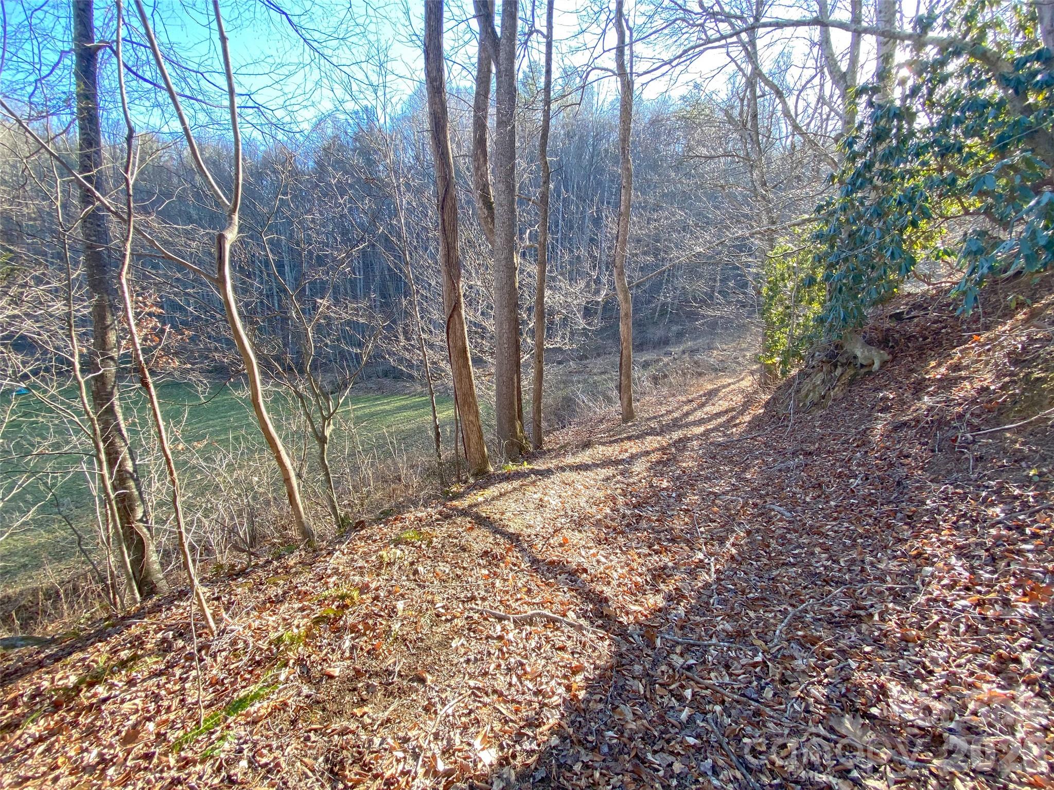 7385 Big Pine Road Marshall, NC 28753 - Photo 14 of 38 a backyard of a house with lots of green space