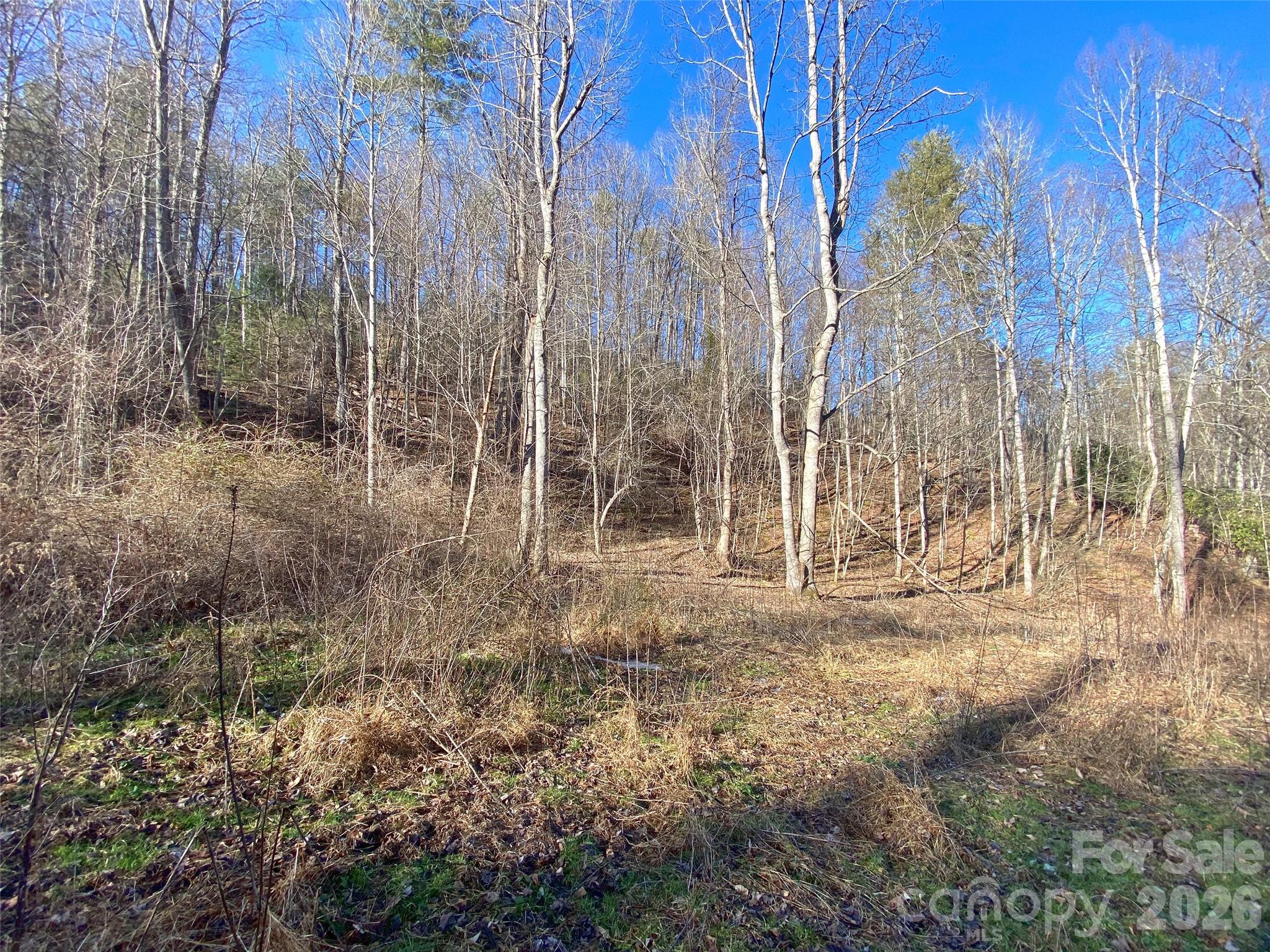 7385 Big Pine Road Marshall, NC 28753 - Photo 15 of 38 a view of a outdoor space with trees