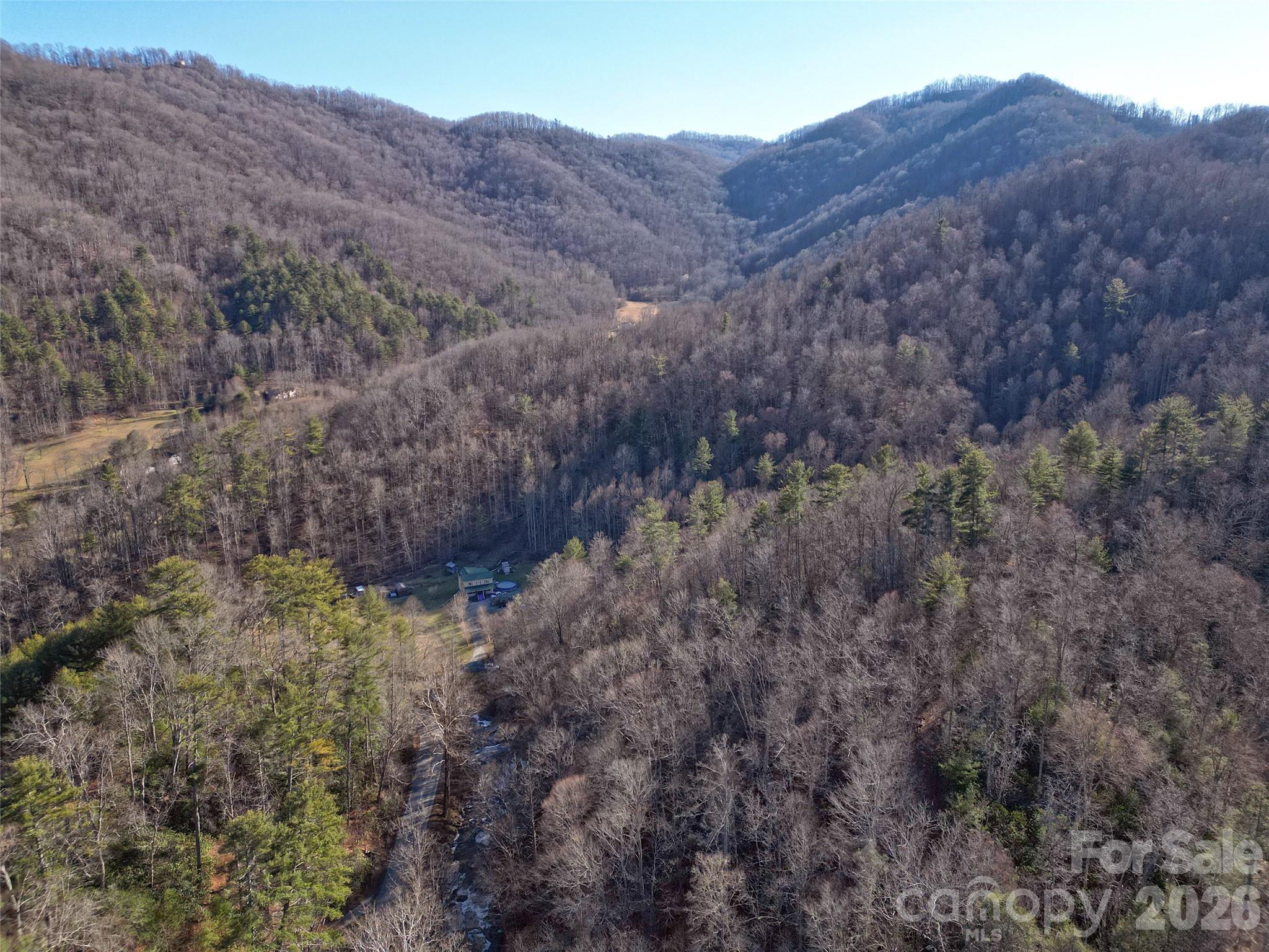 7385 Big Pine Road Marshall, NC 28753 - Photo 17 of 38 a view of a dry forest