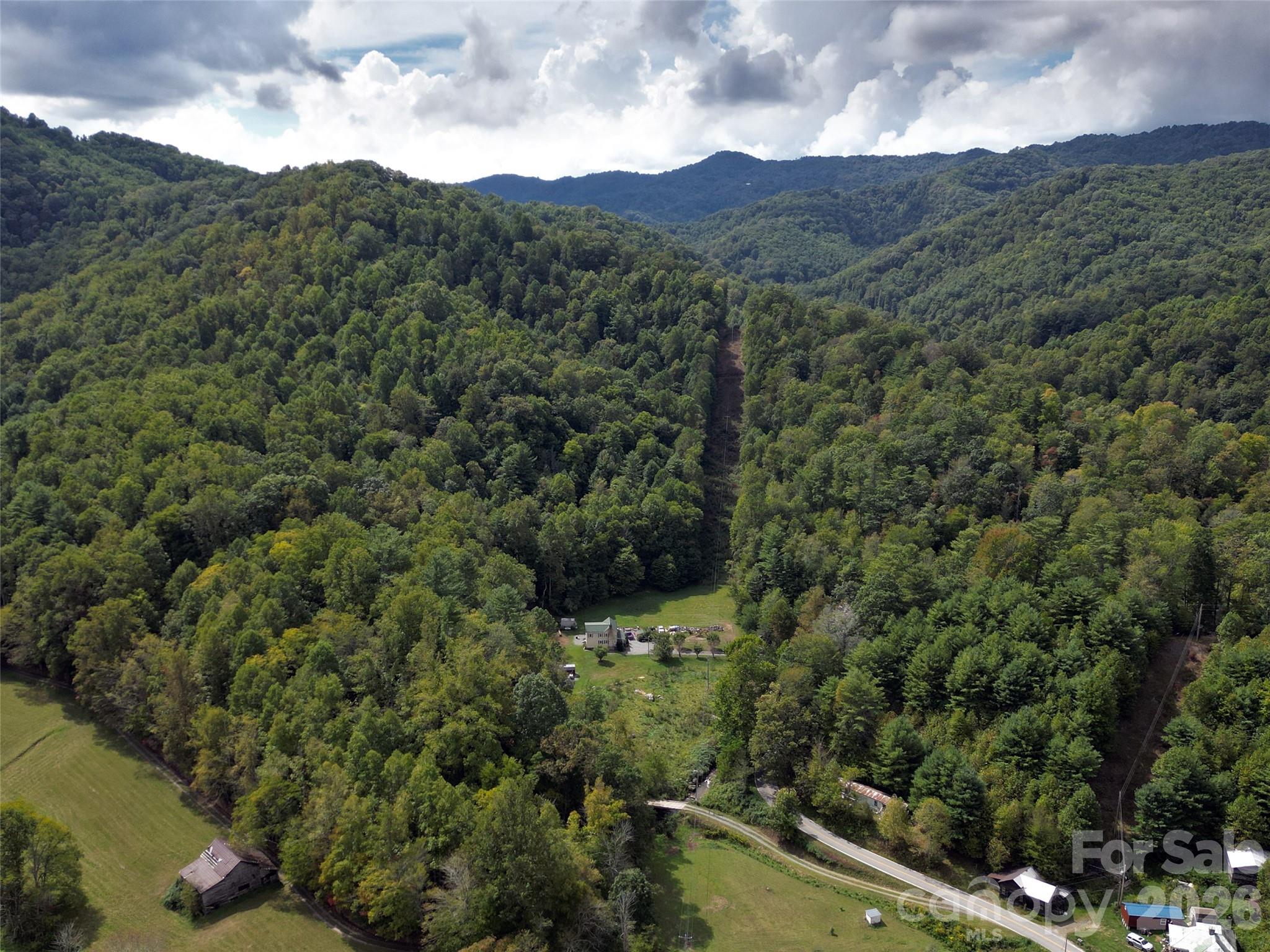 7385 Big Pine Road Marshall, NC 28753 - Photo 19 of 38 a view of a forest with mountains in the background